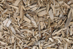 biomass boilers Pittulie