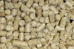 Pittulie biomass boiler costs